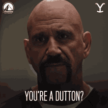 Youre A Dutton Terrell Riggins GIF - Youre A Dutton Terrell Riggins Yellowstone GIFs