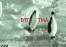 Tma GIF - Tma GIFs