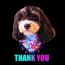 Thank You GIF - Thank You Cavoodle GIFs