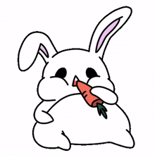 rabbit bunny white lovely eat