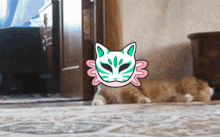 Axolittles Cat GIF - Axolittles Cat Nope GIFs