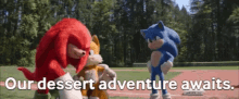Sonic Movie2 Knuckles GIF - Sonic Movie2 Knuckles Our Dessert Adventure Awaits GIFs