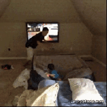 Lets Bounce GIF - Kidfails Flying Bounce GIFs