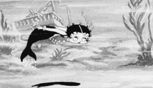 classic black and white vintage vintage flick betty boop