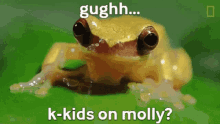Kids On Molly Gughh GIF - Kids On Molly Gughh Aries GIFs