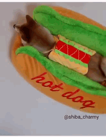 Shiba Dog GIF - Shiba Dog Inception GIFs