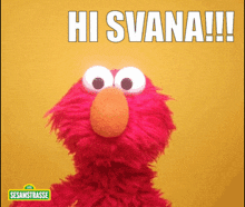 Hi Svana GIF - Hi Svana GIFs