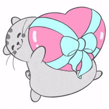 cute lovely cat grey fat