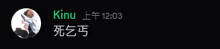 a picture of a person with the name kinu in green letters
