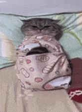 a cat wrapped in a hello kitty blanket is laying on a bed