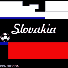 Slovakia Football GIF
