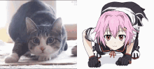 cat girl meme anime