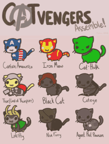 Cat Vengers Catavengers GIF - Cat Vengers Catavengers Avengers GIFs