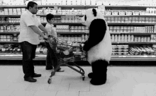 Panda Knocks Over Cart GIF
