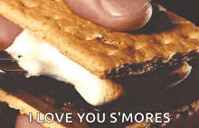 a person is holding a s'more with the words " i love you s'mores " on the bottom