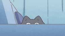 a cat with a surprised look on his face