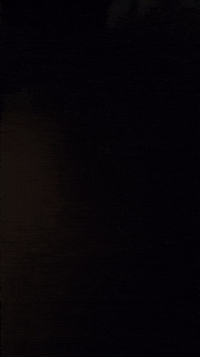 a close up of a person 's back in a dark room .
