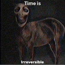When The Passage Of Time Is Irreversible The Horse Is Here GIF