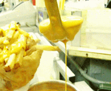 Cheese Fries Cheesy GIF - Cheese Fries Cheesy Fries GIFs