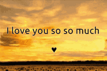 I Love You So So Much Sunflower Love GIF - I Love You So So Much Sunflower Love GIFs
