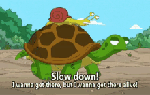 Slow Down! GIF - Turtle Snail Animals GIFs