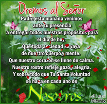 a picture with flowers and butterflies that says " oremos al señor " on it