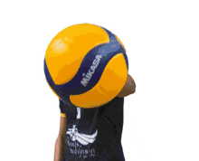 look volleyball