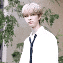 a young man wearing a white shirt and a tie is standing in front of a tree .