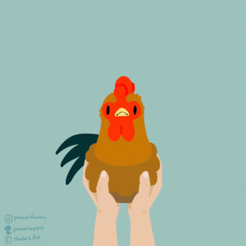 chicken animated gif