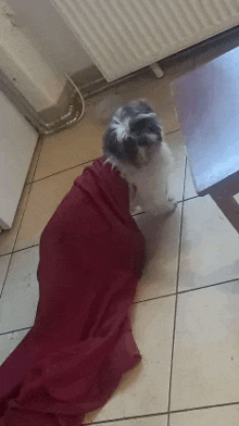 Luther Dog GIF - Luther Dog Dressup GIFs