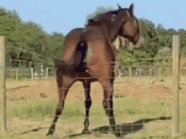 3d pony creator the running ponies on Make a GIF