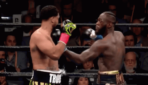 deontay-wilder-knock-out.gif