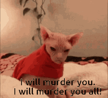 Angry Cat GIF - Angry Cat Murder GIFs