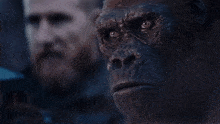 Planet Of The Apes Red GIF - Planet Of The Apes Red Looking GIFs