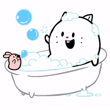 animal kitty cat cute bath