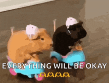 two guinea pigs are riding a toy car with the words everything will be okay