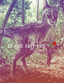 a picture of a cat that looks like a dinosaur with the words " ts not tuff uro " below it