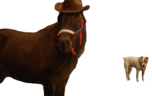 Cowboy Hat Sticker - Cowboy Hat Best Friends Stickers