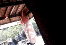 a red pillar with a sign that says ' tpd ' on it