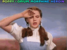 The Wizard Of Oz Dorothy Gale GIF - The Wizard Of Oz Wizard Of Oz Dorothy Gale GIFs