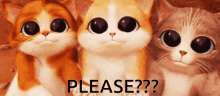 Please Cats GIF - Please Cats Cat GIFs