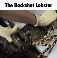 Backshot Lobster Backshot GIF - Backshot Lobster Backshot Hot Lobster GIFs