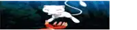 a white cat with a long tail is flying over a person 's hands .
