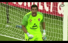 Aleague Brisbane Roar GIF - Aleague Brisbane Roar Jamie Young GIFs