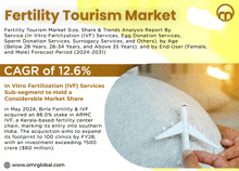 Fertility Tourism Market GIF