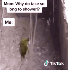 froggy dancing shower meme tik tok