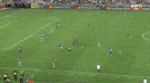 Fluminense Vs Boca GIF - Fluminense Vs Boca Final Libertadores 2023 GIFs