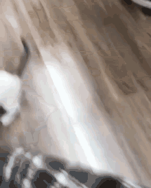 GIF