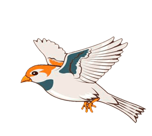 Ikgai Bird Sticker - Ikgai Bird Stickers