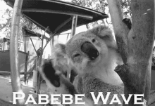 Koala Wave GIF - Koala Bear Wave GIFs